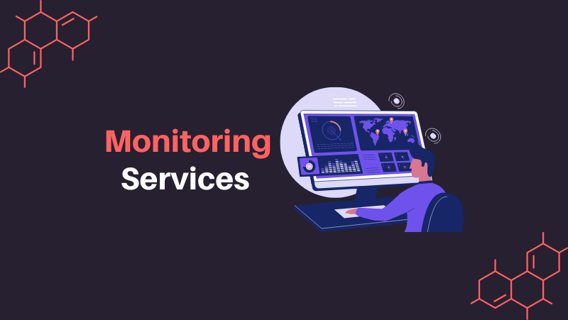 Monitoring Services Enhancing Business Performance with Devlabs