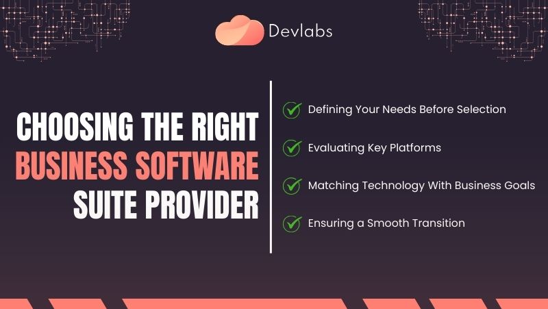 Business Software Suite - Devlabs